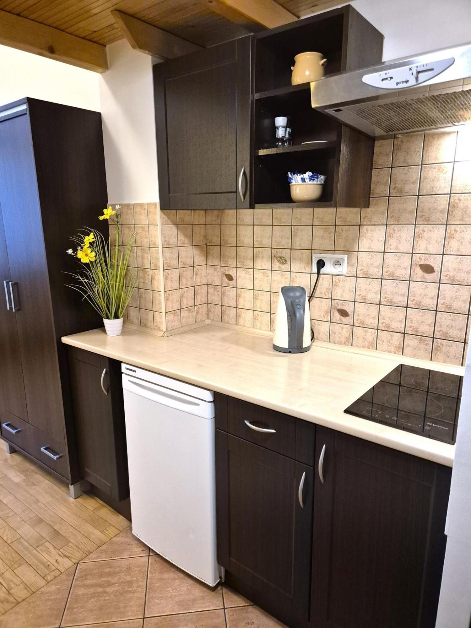 Apartment Safona - Pantheon Krakau